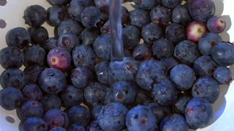 Fresh Blueberries Being Washed In A Kitchen Sink Stock Footage 62432071