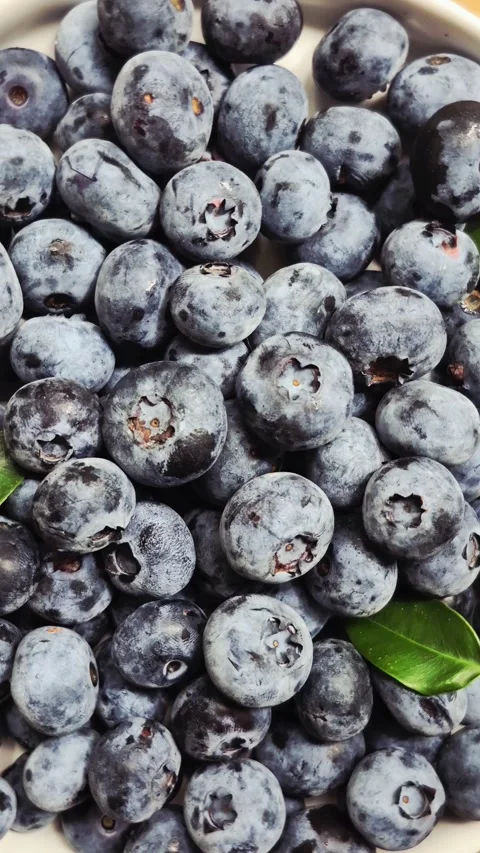 Fresh blueberries close-up Stock Footage 314271011