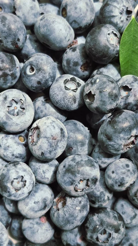 Fresh blueberries close-up Stock Footage 314271013