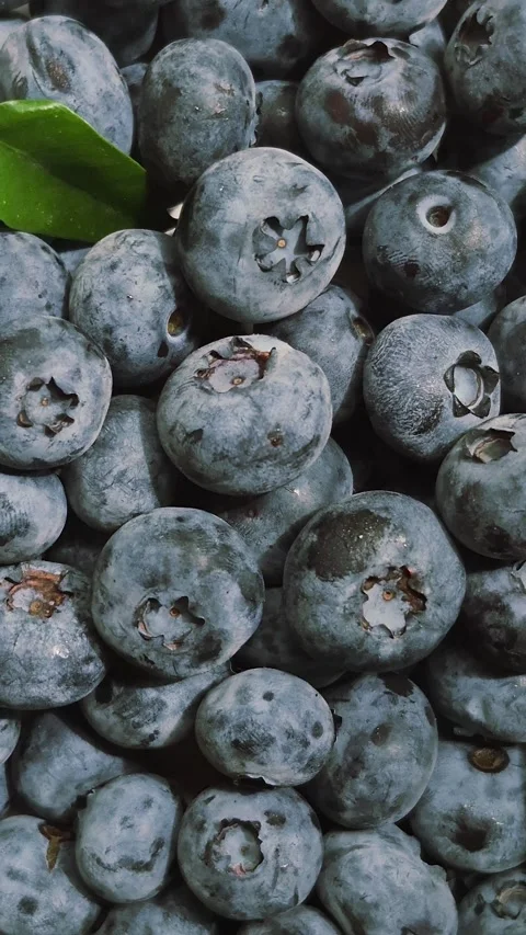 Fresh blueberries close-up Stock Footage 314271014