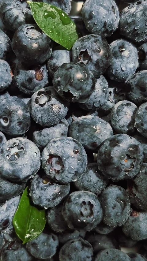 Fresh blueberries close-up Stock Footage 314271021
