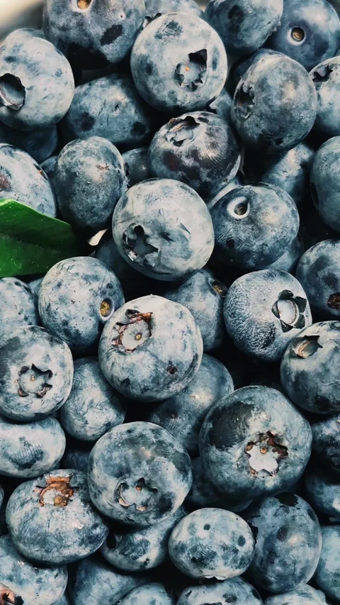 Fresh blueberries close-up Stock Footage 314271041