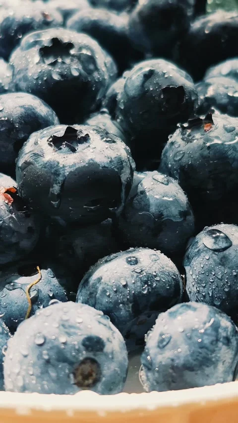 Fresh blueberries close-up Stock Footage 314271046