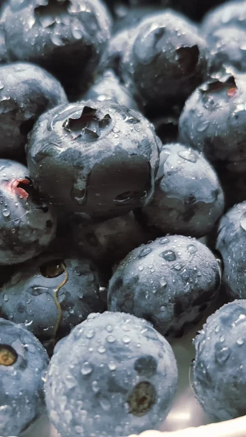 Fresh blueberries close-up Stock Footage 314271050