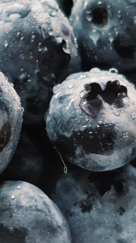 Fresh blueberries close-up Stock Footage 314271051