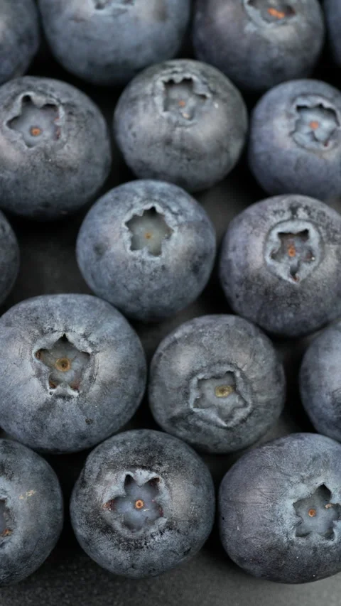 Fresh Blueberries Close Up Macro Background in 4K Stock Footage 340543612