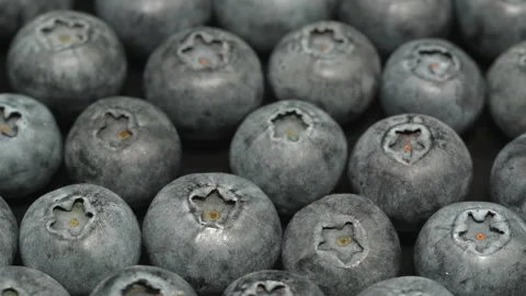 Fresh Blueberries Close Up Macro Background in 4K Stock Footage 340578881