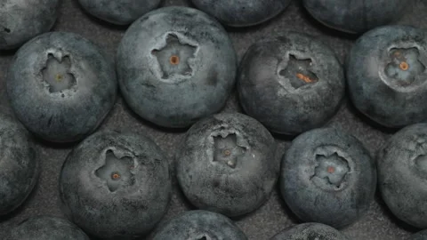 Fresh Blueberries Close Up Macro Background in 4K Stock Footage 341031266