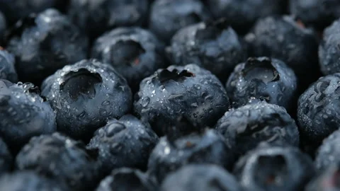 Fresh blueberries close up, rotation Stock Footage 201488363