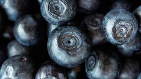 Fresh blueberries in closeup with natural bloom texture and deep blue color, Stock Footage 313330053