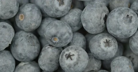 Fresh blueberries closeup rotating loopable 動画素材 142130244