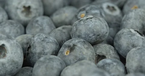 Fresh blueberries closeup rotating loopable Stock Footage 142385962