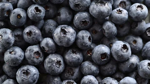 Fresh blueberries with dewdrops spin slowly on turntable. Stock Footage 314333596