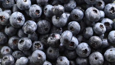 Fresh blueberries falling from above, striking juicy pile and bouncing. Stock Footage 314333059
