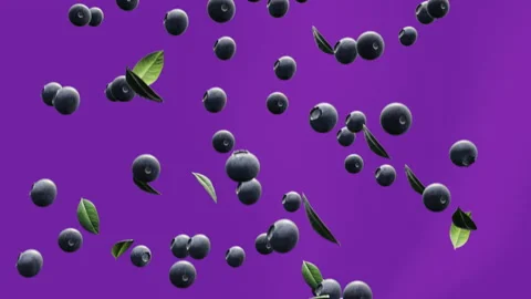 Fresh blueberries falling down seamless endless loop backdrop background Stock Footage 150114746
