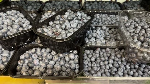 Fresh blueberries fill plastic containers stacked on a market shelf Video stock 341951855