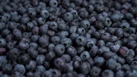 Fresh blueberries, fruit background delicious tasty barry lay on the ground. Stock Footage 112498530