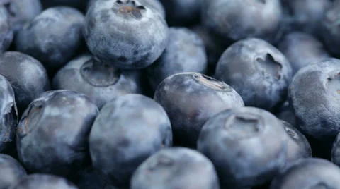 Fresh blueberries, fruit background Stock Footage