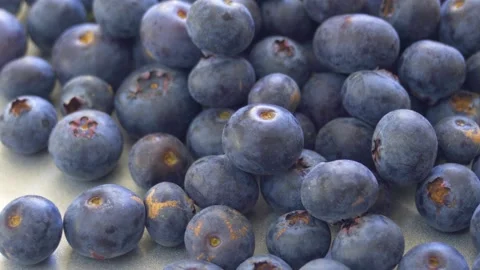 Fresh Blueberries, Fruit Background 스톡 동영상 232854717