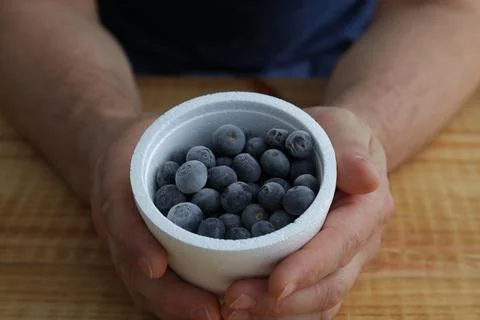 Fresh blueberries held with both hands Stock Photos
