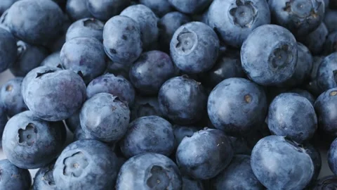 Fresh blueberries in macro closeup showcase nutritious fruit. Juicy berry Video stock 340410002