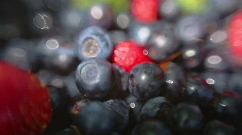 Fresh Blueberries macro Stock Footage 57135676