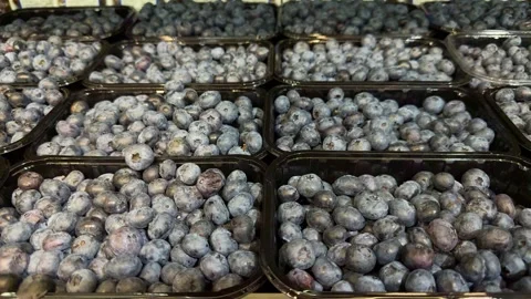 Fresh blueberries packed in black plastic containers for sale  스톡 동영상 343410813