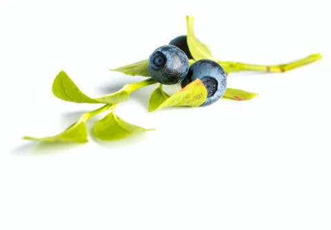 Fresh blueberries Foto stock