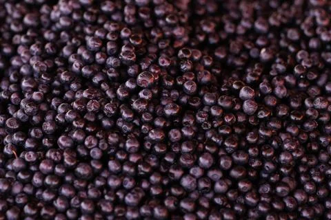 Fresh blueberries Foto stock