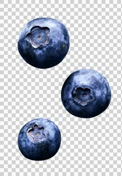 Fresh Blueberries Fotos Stock