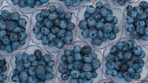 Fresh Blueberries Rotating in Flower Shaped Bowls Flat Lay Stock Footage 346249143