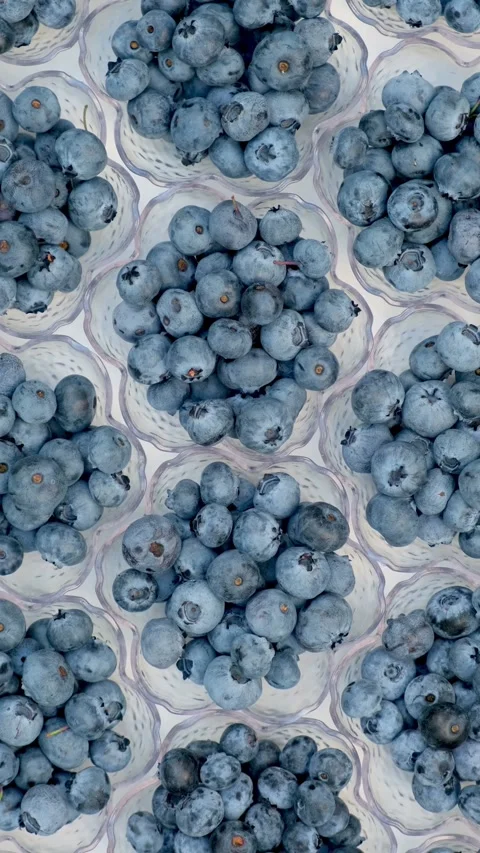 Fresh Blueberries Rotating Vertical Flat Lay Background Stock Footage 346249089