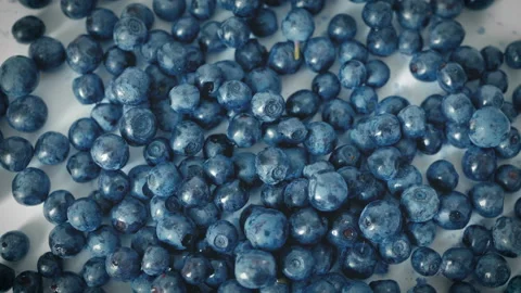 Fresh Blueberries rotation Stock Footage 113950719