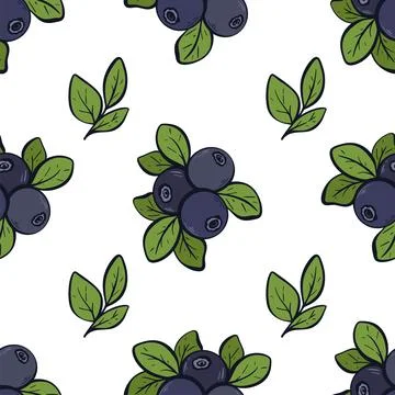 Fresh blueberries seamless pattern vector illustration Ilustración de archivo