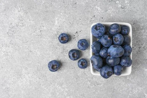 Fresh blueberries in a small rectangular white bowl on gray concrete backgr.. Stockfoto's