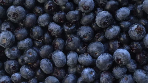 Fresh blueberry background. Stock Footage 308254197