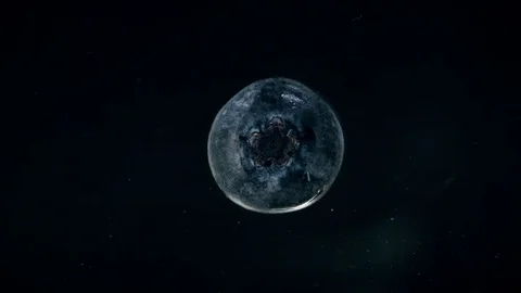 Fresh blueberry exploding with healthy nutritious goodness Stock Footage 83404964