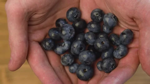 Fresh blueberry. Stock Footage 248320790