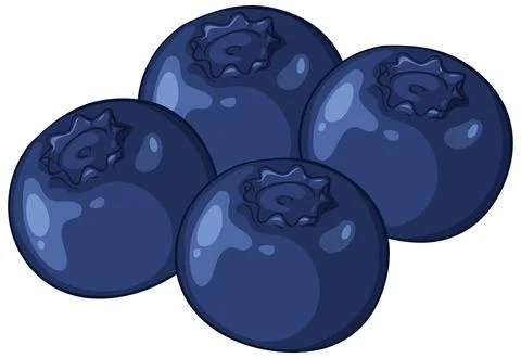 Fresh Blueberry Fruit Vector Illustration on White Background Stock Illustration