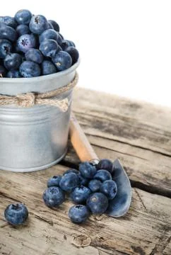 Fresh blueberry Stock Photos