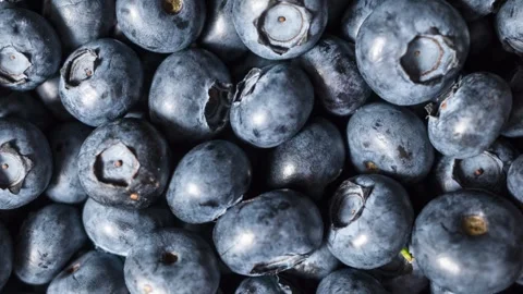 Fresh Blueberry Texture Background Stock Footage 339230293