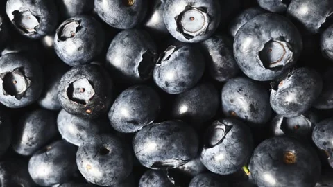 Fresh Blueberry Texture Background Stock Footage 339230294