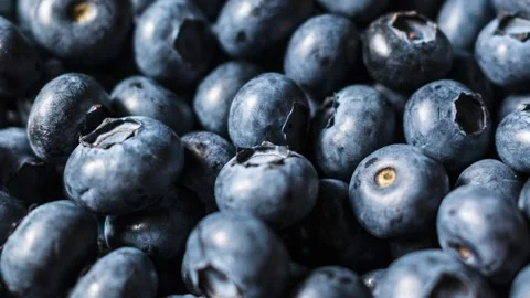 Fresh Blueberry Texture Background Stock Footage 339230297