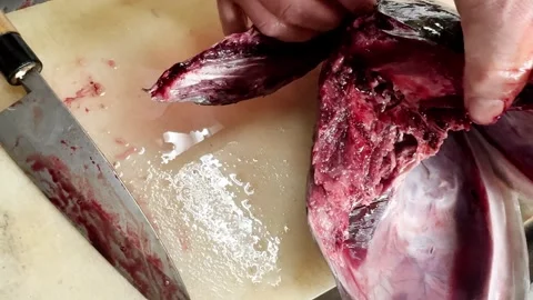 Fresh bluefin tuna head being split open with a knife by a chef, close up Stock Footage 339312832