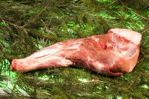 Fresh Boars Shoulder Stock Photos