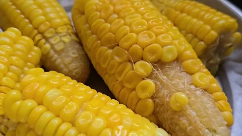 Fresh boiled corn is a classic, nutrient-dense summer staple. Easy to prepare by Stock Footage 337349257
