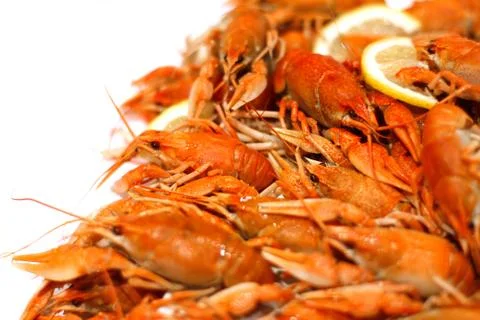 Fresh boiled crawfish Stock Photos
