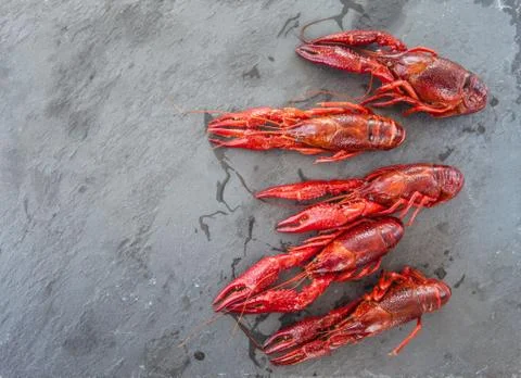 Fresh boiled crayfish Stock Photos