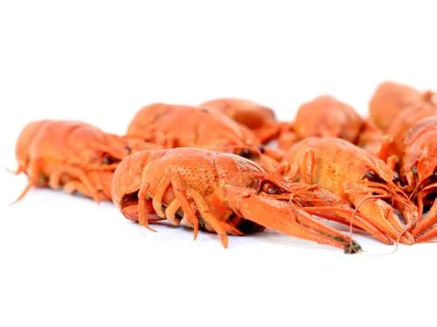 Fresh boiled crayfish Stock Photos