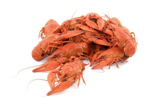 Fresh boiled crayfish Stockfoto's